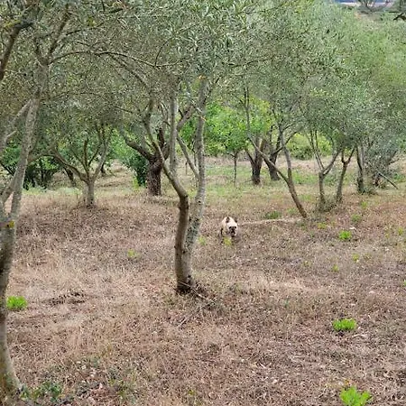 Quinta Autosuficiente Parque de Campismo