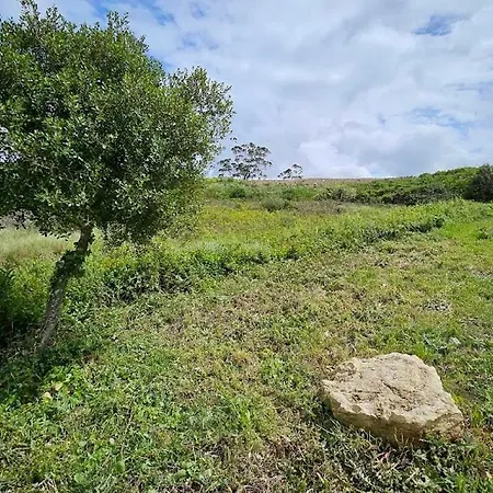 Parque de Campismo Quinta Autosuficiente